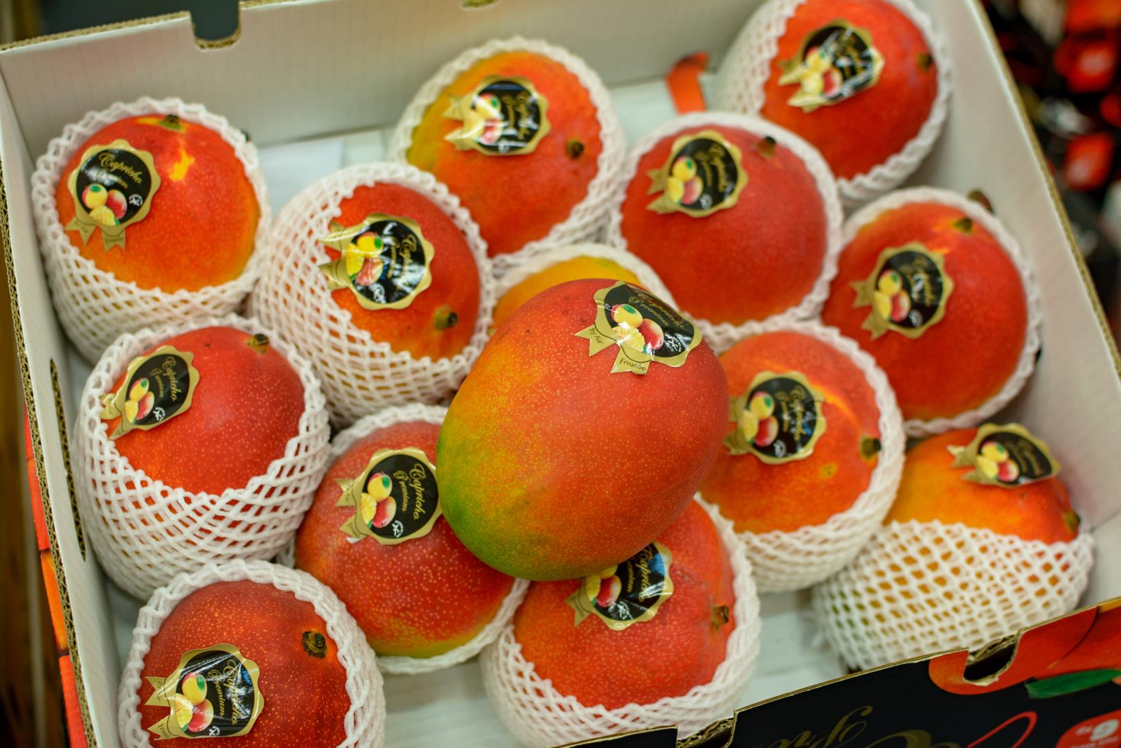 Exportation de fruits Rungis